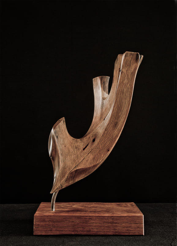 escultura-abstracta-sombriaf.jpg